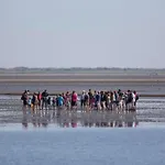 Huus Wattenmeer By Interhome