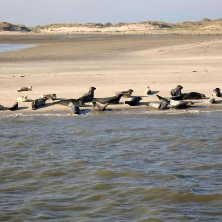 Huus Wattenmeer By Interhome بيت للعطل *