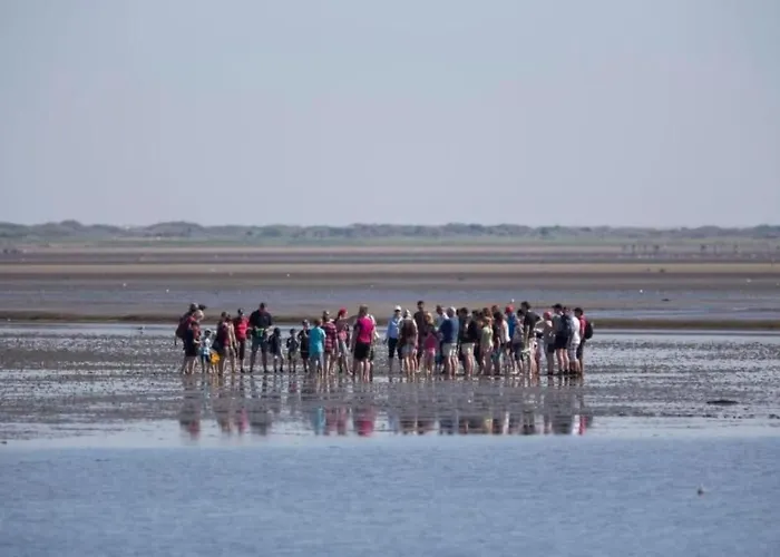 Huus Wattenmeer By Interhome