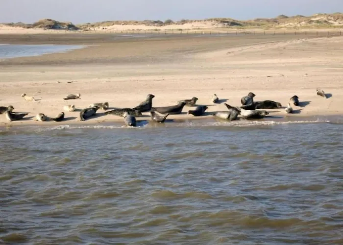 Huus Wattenmeer By Interhome Casa de Férias *